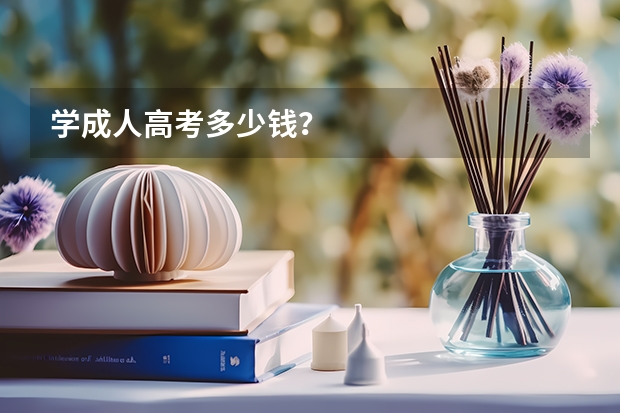 学成人高考多少钱？