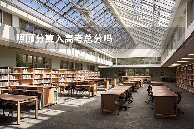 照顾分算入高考总分吗