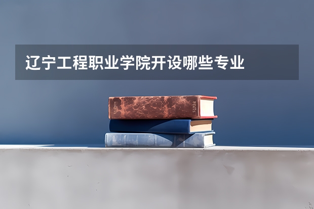 辽宁工程职业学院开设哪些专业