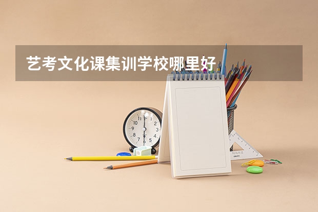 艺考文化课集训学校哪里好