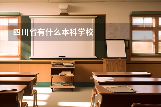 四川省有什么本科学校