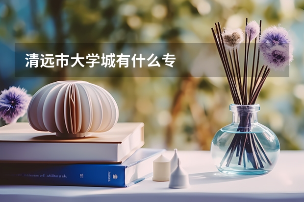 清远市大学城有什么专