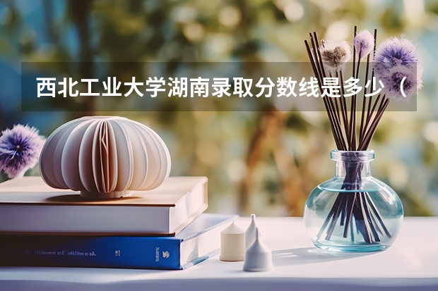 西北工业大学湖南录取分数线是多少（历年招生人数一览）