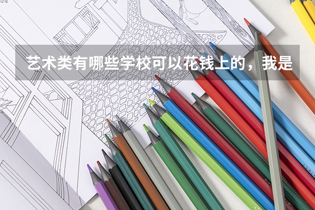 艺术类有哪些学校可以花钱上的，我是江苏的艺术生，学美术的