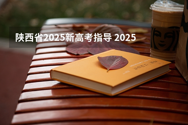 陕西省2025新高考指导 2025年新高考政策