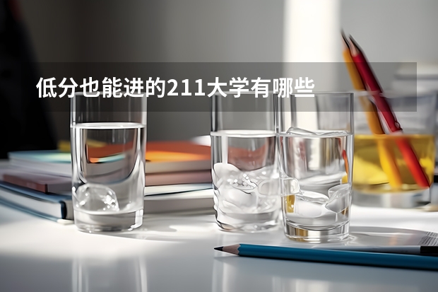 低分也能进的211大学有哪些