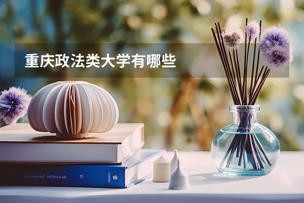 重庆政法类大学有哪些