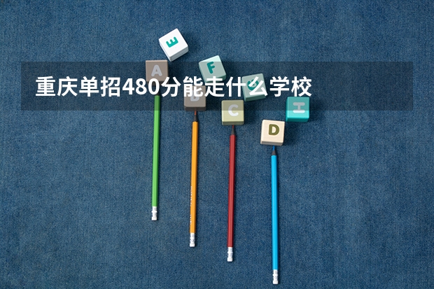 重庆单招480分能走什么学校