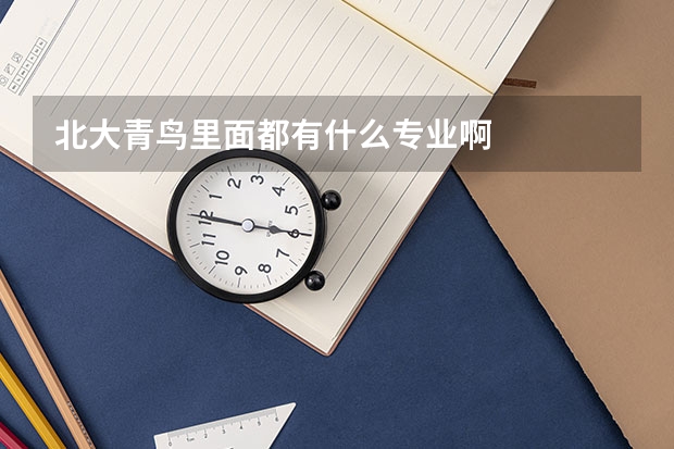 北大青鸟里面都有什么专业啊