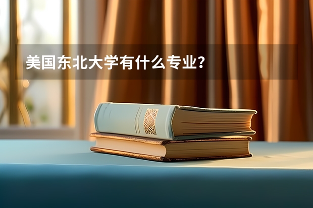美国东北大学有什么专业？
