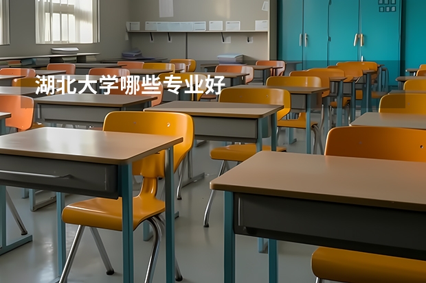 湖北大学哪些专业好