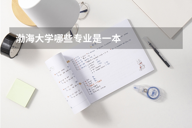 渤海大学哪些专业是一本