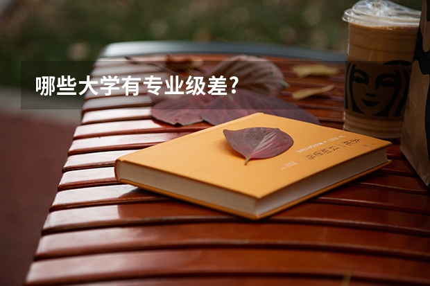 哪些大学有专业级差?