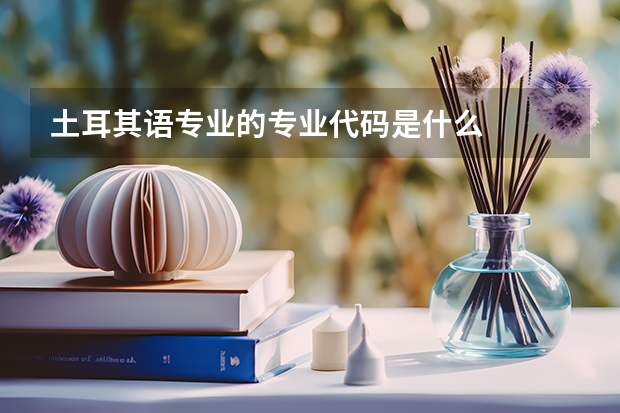 土耳其语专业的专业代码是什么