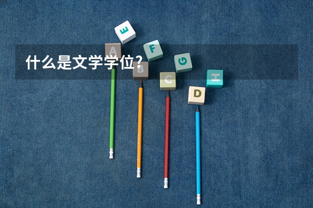 什么是文学学位?