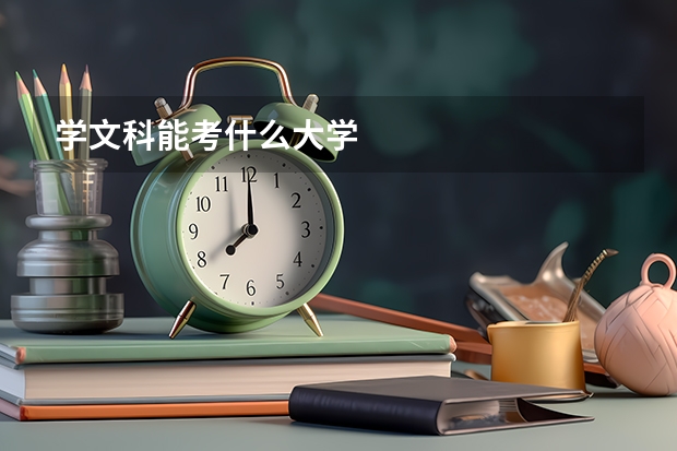 学文科能考什么大学