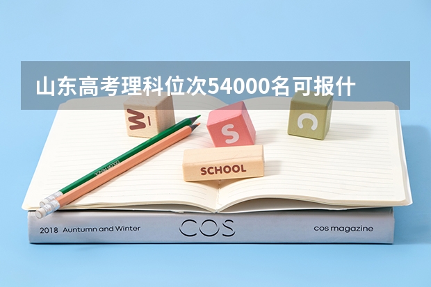 山东高考理科位次54000名可报什么学校