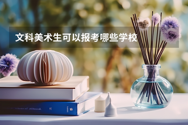 文科美术生可以报考哪些学校