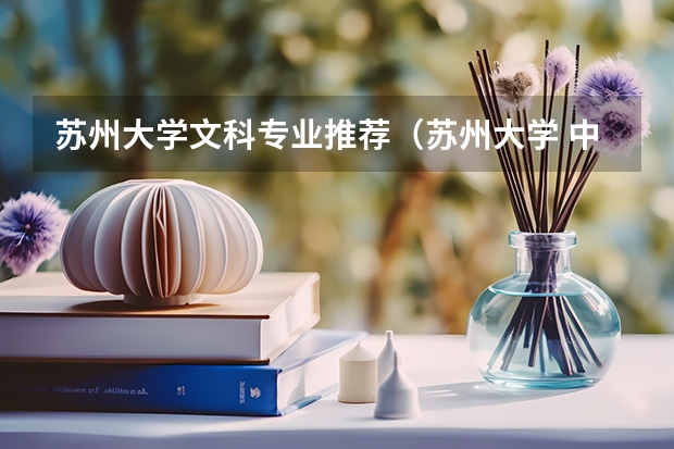 苏州大学文科专业推荐（苏州大学 中国语言文学考研经验分享？）