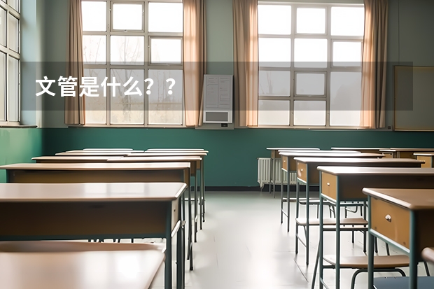 文管是什么？？