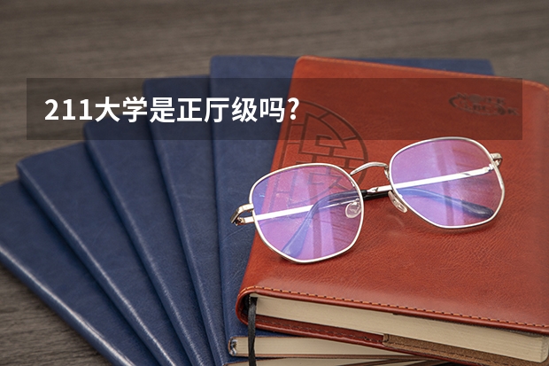211大学是正厅级吗?
