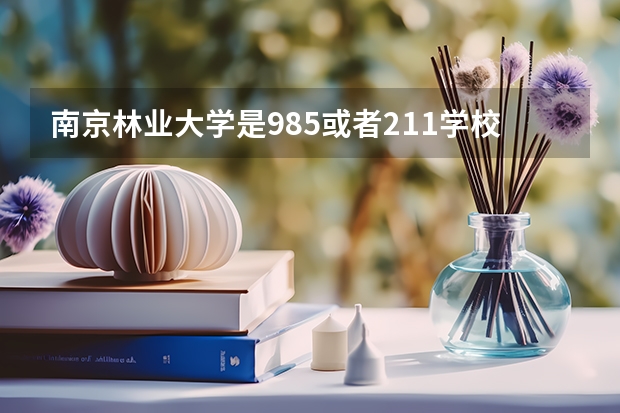 南京林业大学是985或者211学校吗？