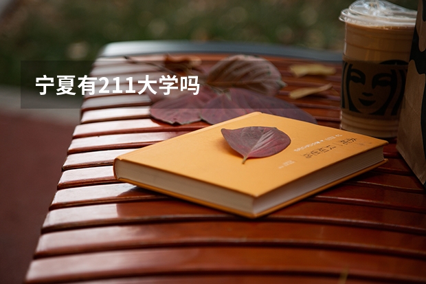 宁夏有211大学吗