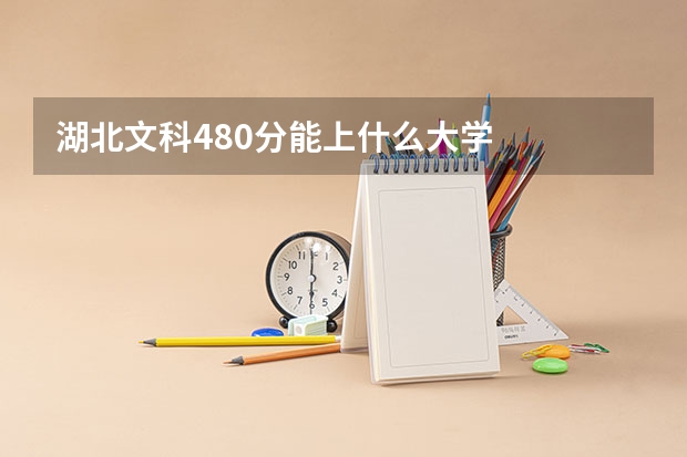 湖北文科480分能上什么大学
