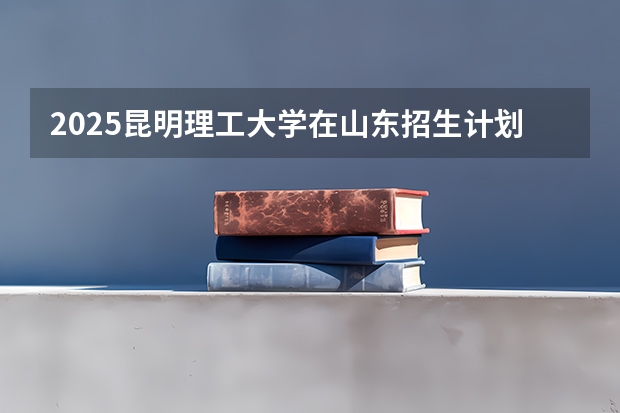 2025昆明理工大学在山东招生计划预测