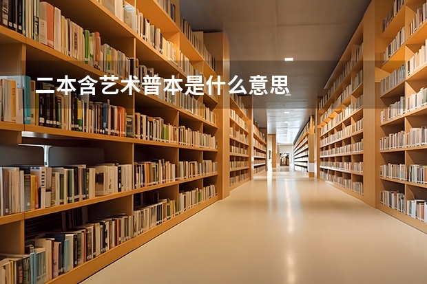 二本含艺术普本是什么意思