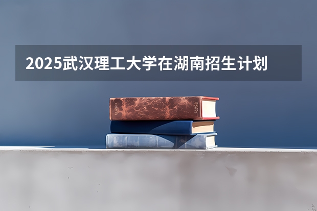 2025武汉理工大学在湖南招生计划一览表