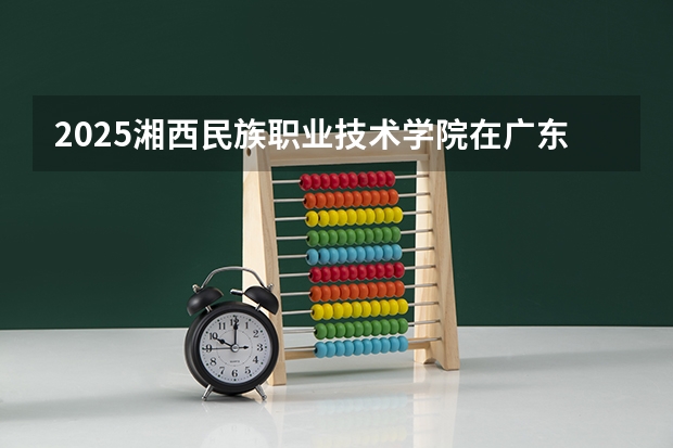 2025湘西民族职业技术学院在广东招生计划人数一览表