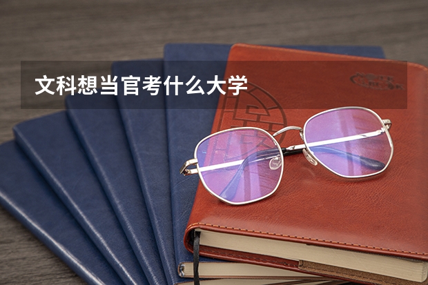 文科想当官考什么大学