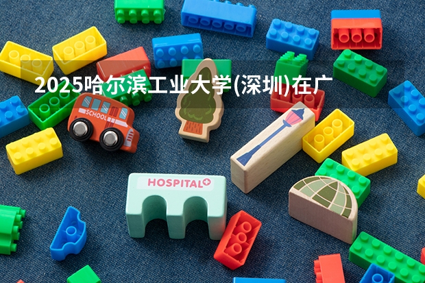 2025哈尔滨工业大学(深圳)在广东招生计划人数一览表