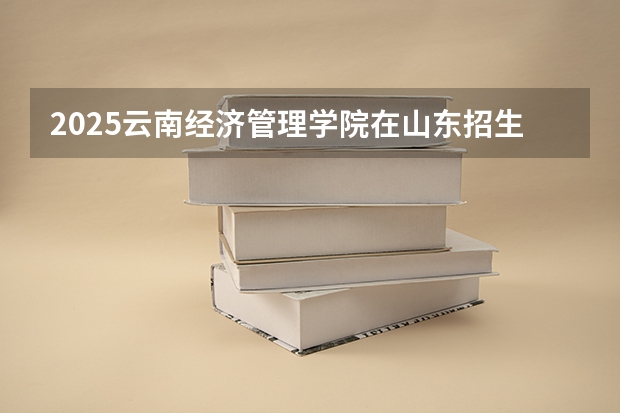 2025云南经济管理学院在山东招生计划一览表