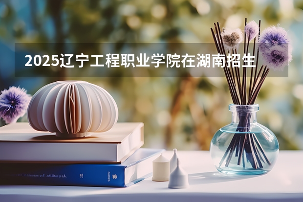 2025辽宁工程职业学院在湖南招生计划一览表