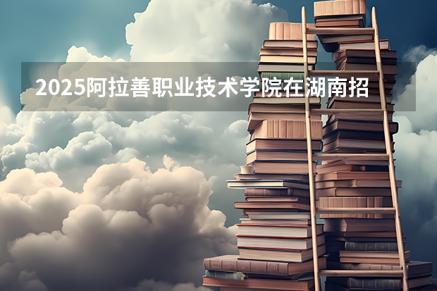 2025阿拉善职业技术学院在湖南招生计划一览表