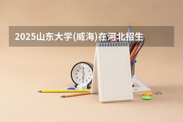 2025山东大学(威海)在河北招生计划一览表