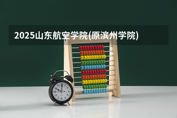 2025山东航空学院(原滨州学院)在江苏招生计划一览表