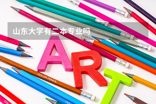 山东大学有二本专业吗