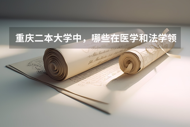 重庆二本大学中，哪些在医学和法学领域有较高声誉？