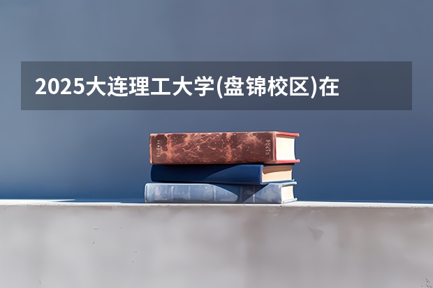 2025大连理工大学(盘锦校区)在湖北招生计划一览表