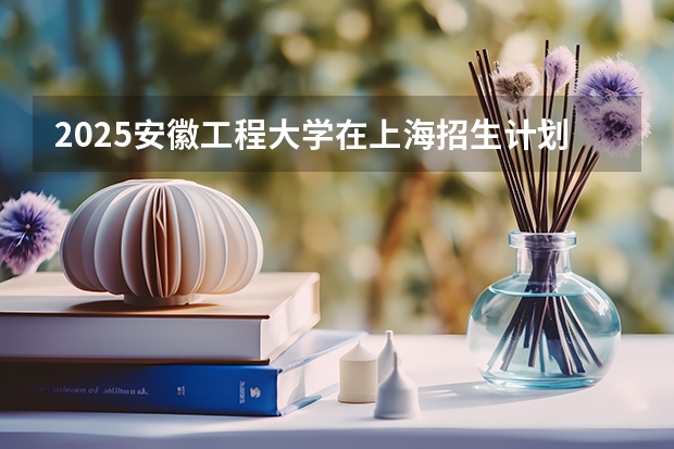 2025安徽工程大学在上海招生计划一览表