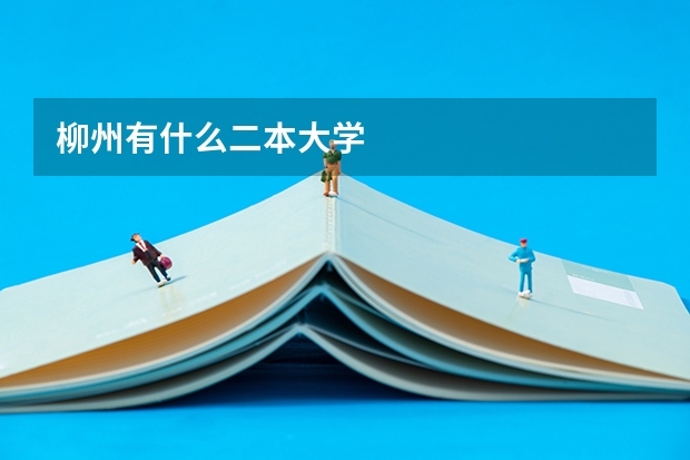 柳州有什么二本大学