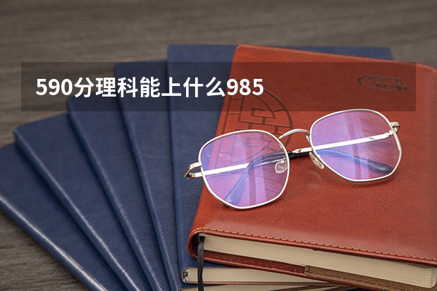 590分理科能上什么985