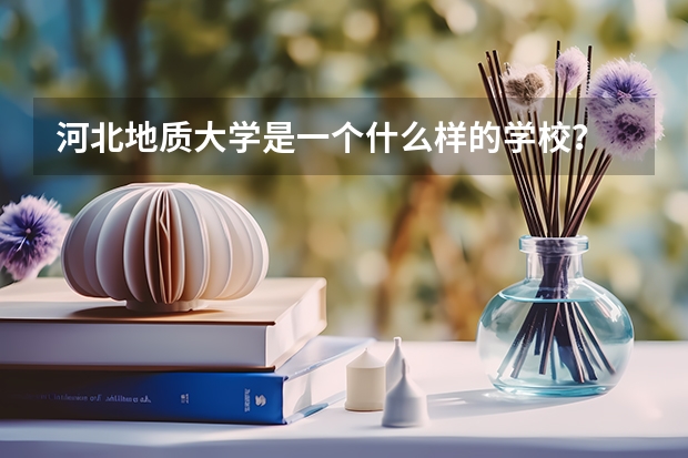 河北地质大学是一个什么样的学校？