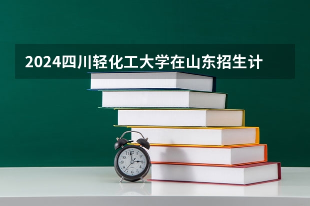 2024四川轻化工大学在山东招生计划详解