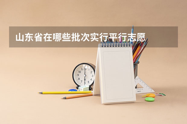 山东省在哪些批次实行平行志愿