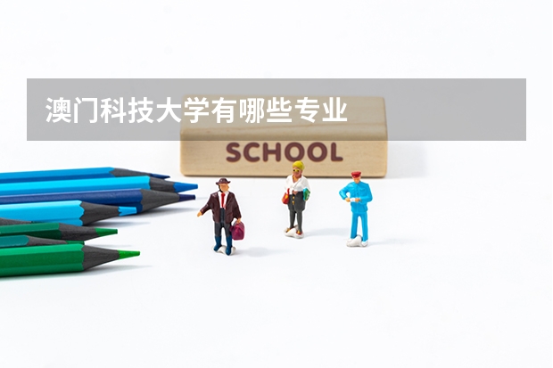 澳门科技大学有哪些专业