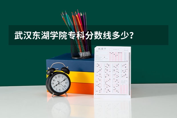 武汉东湖学院专科分数线多少？